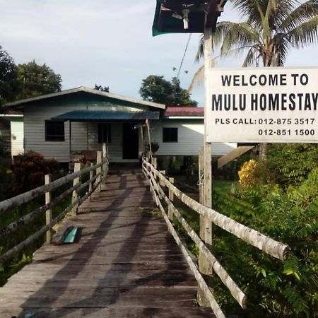 Mulu Homestay Екстериор снимка
