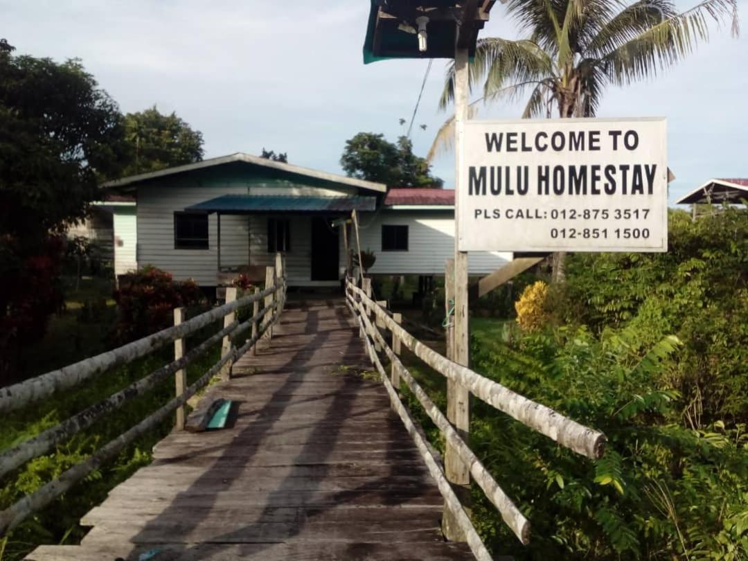 Mulu Homestay Екстериор снимка