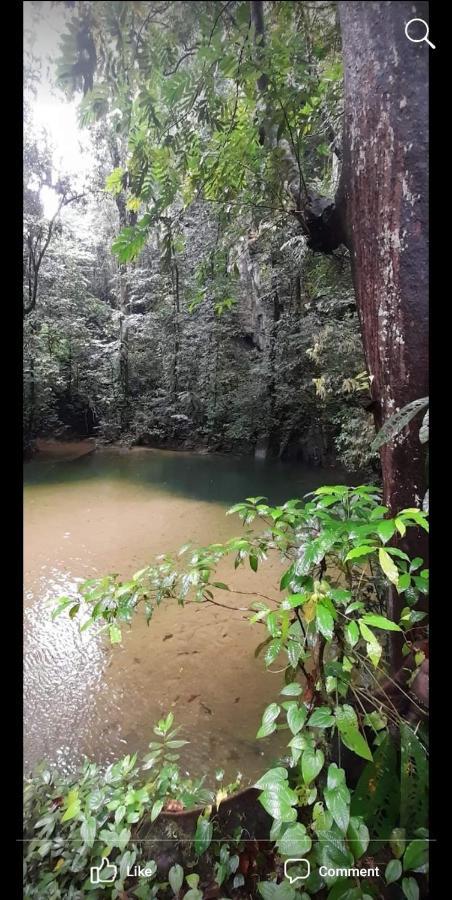 Mulu Homestay Екстериор снимка